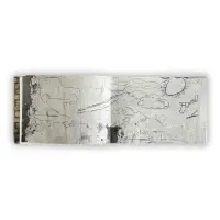 Notes about Bedouin Graffiti