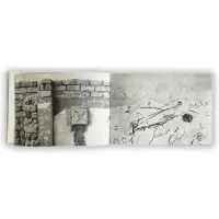 Notes about Bedouin Graffiti