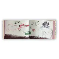 Notes about Bedouin Graffiti